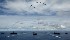 Commentaire du Bureau de Presse du CC du KKE sur les exercices de l'OTAN « Sea Shield-2019 » en mer Noire